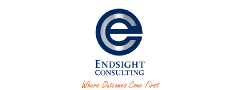 Endsight Consulting