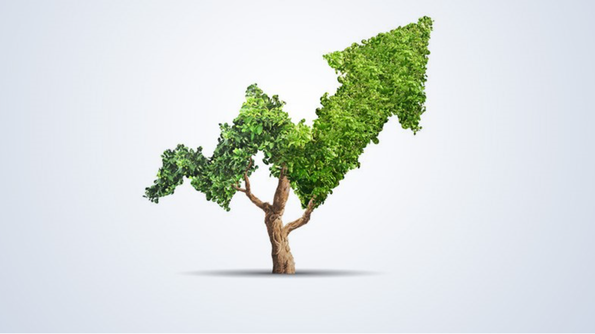 Impact investing in climate finance