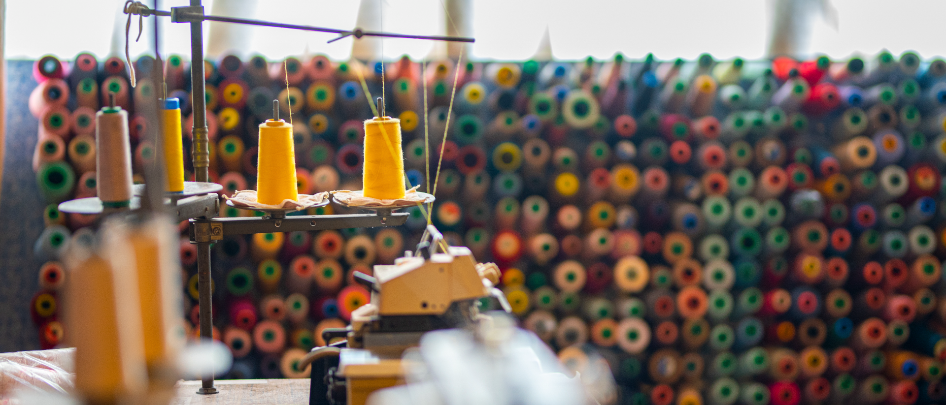 Green fashion: Weaving sustainability into textile and Apparel