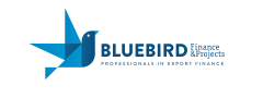 Bluebird Finance & Projects